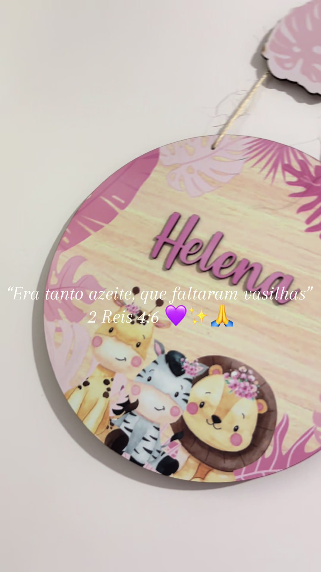 @Amanda Vieira