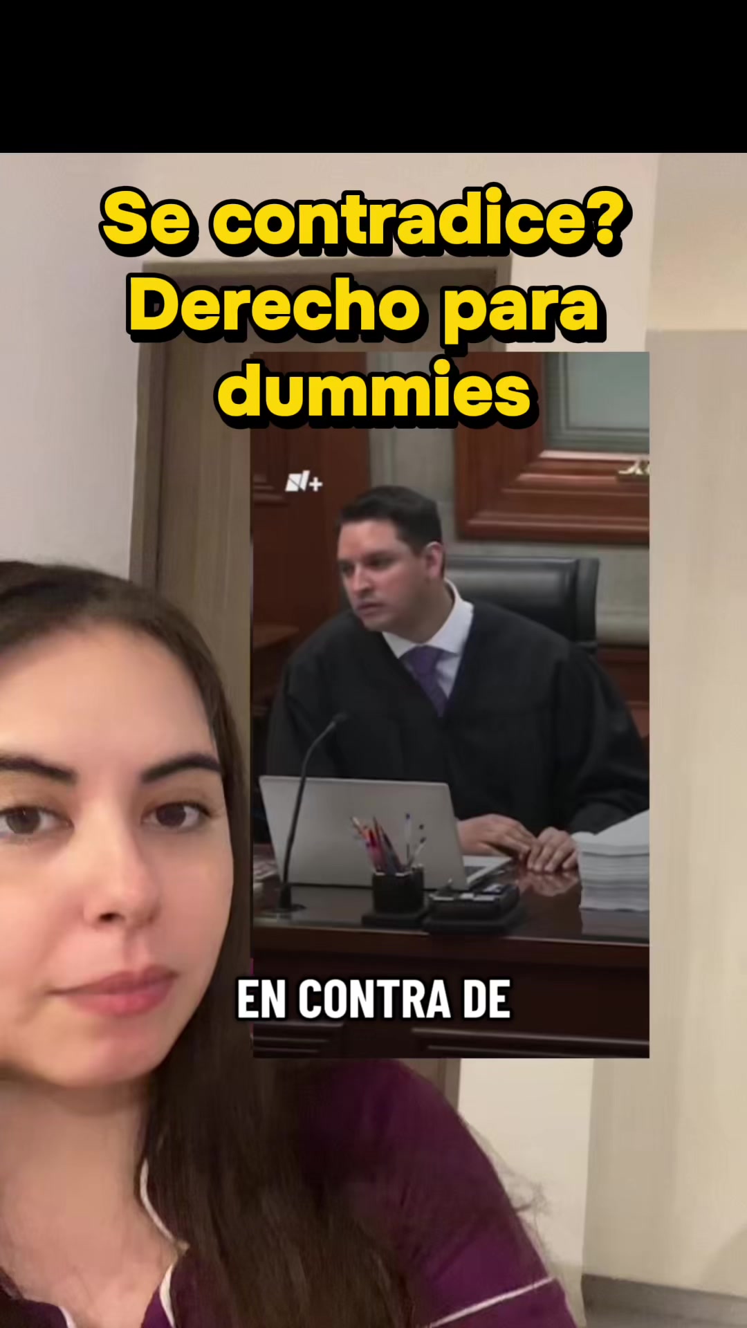 @amonia.oficial