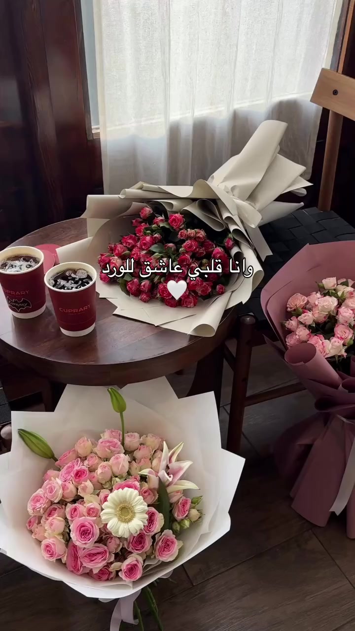 @مندوب ابها