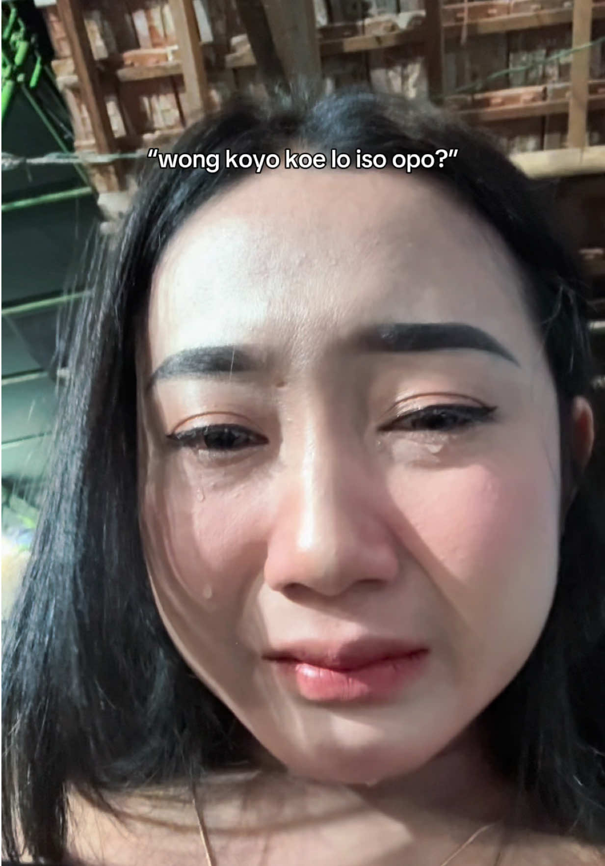 @cleo.eo