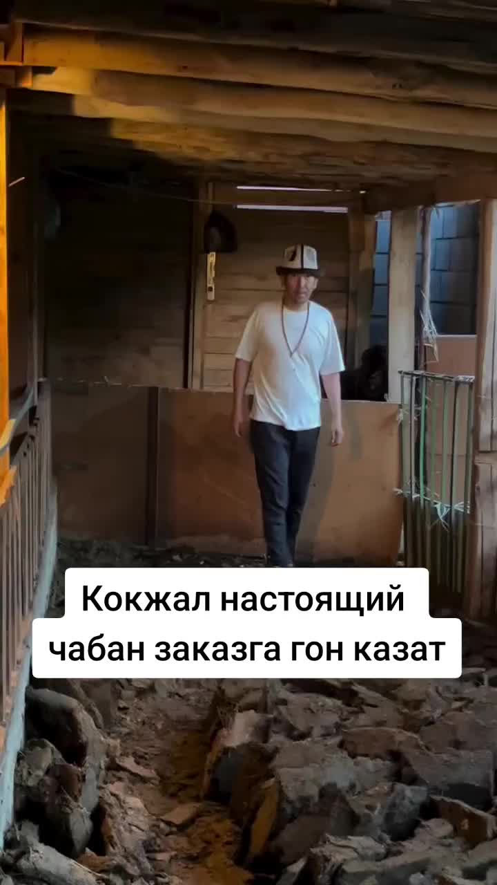 @Дикий Карышкыр🐺