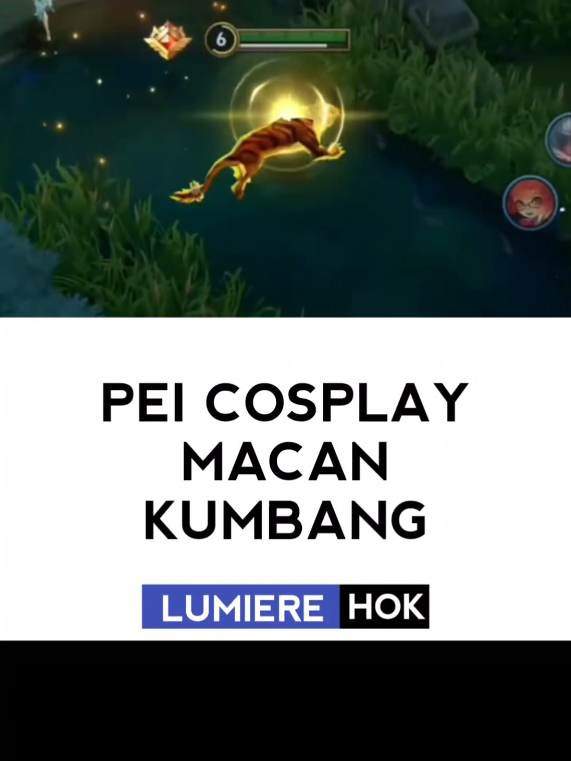 @Lumiere
