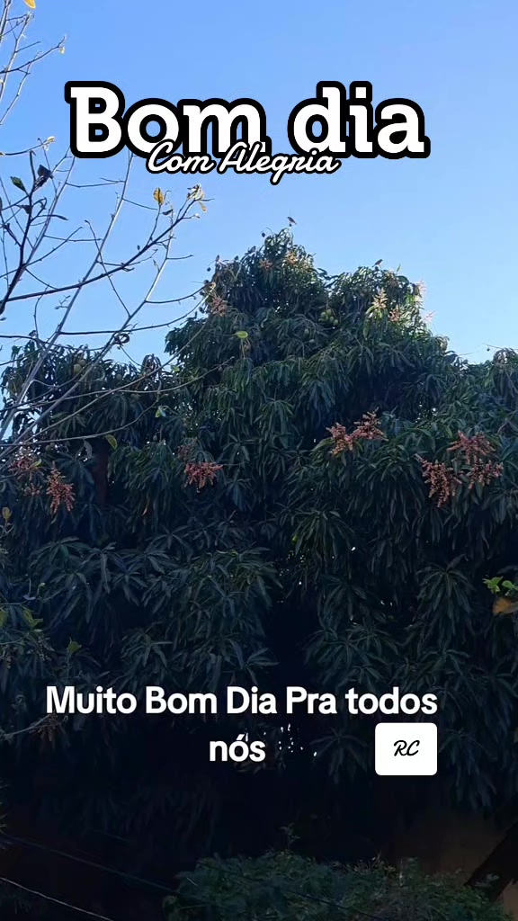 @RoberttoCarllos12