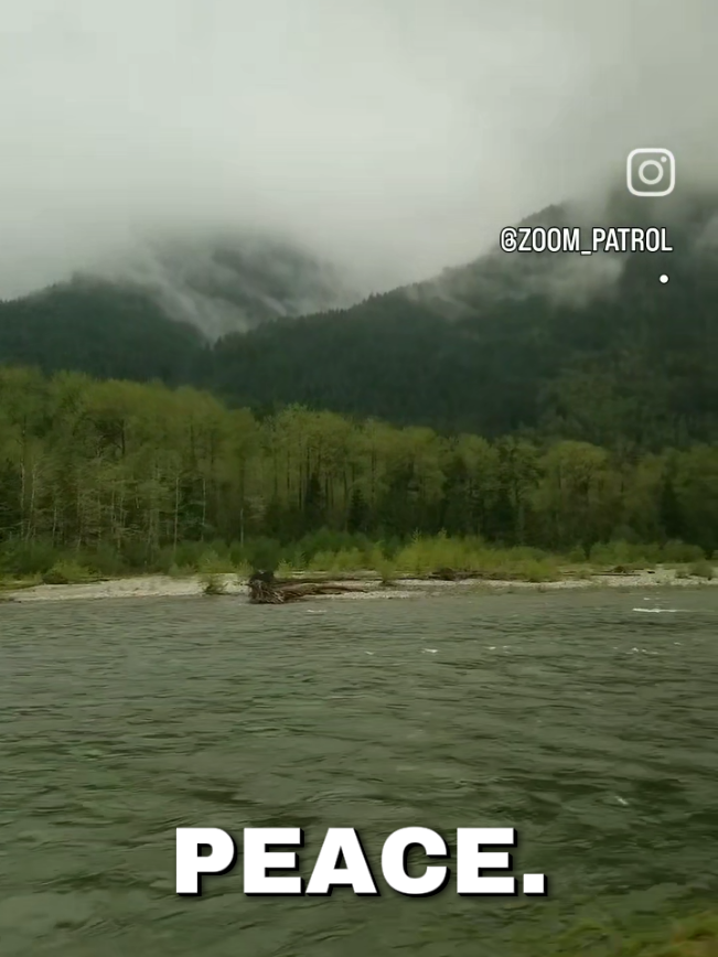 @Zoom Patrol