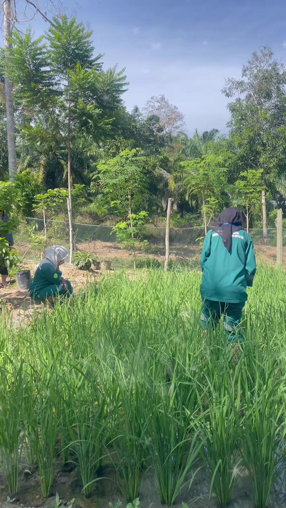 @"PakTani Atim"