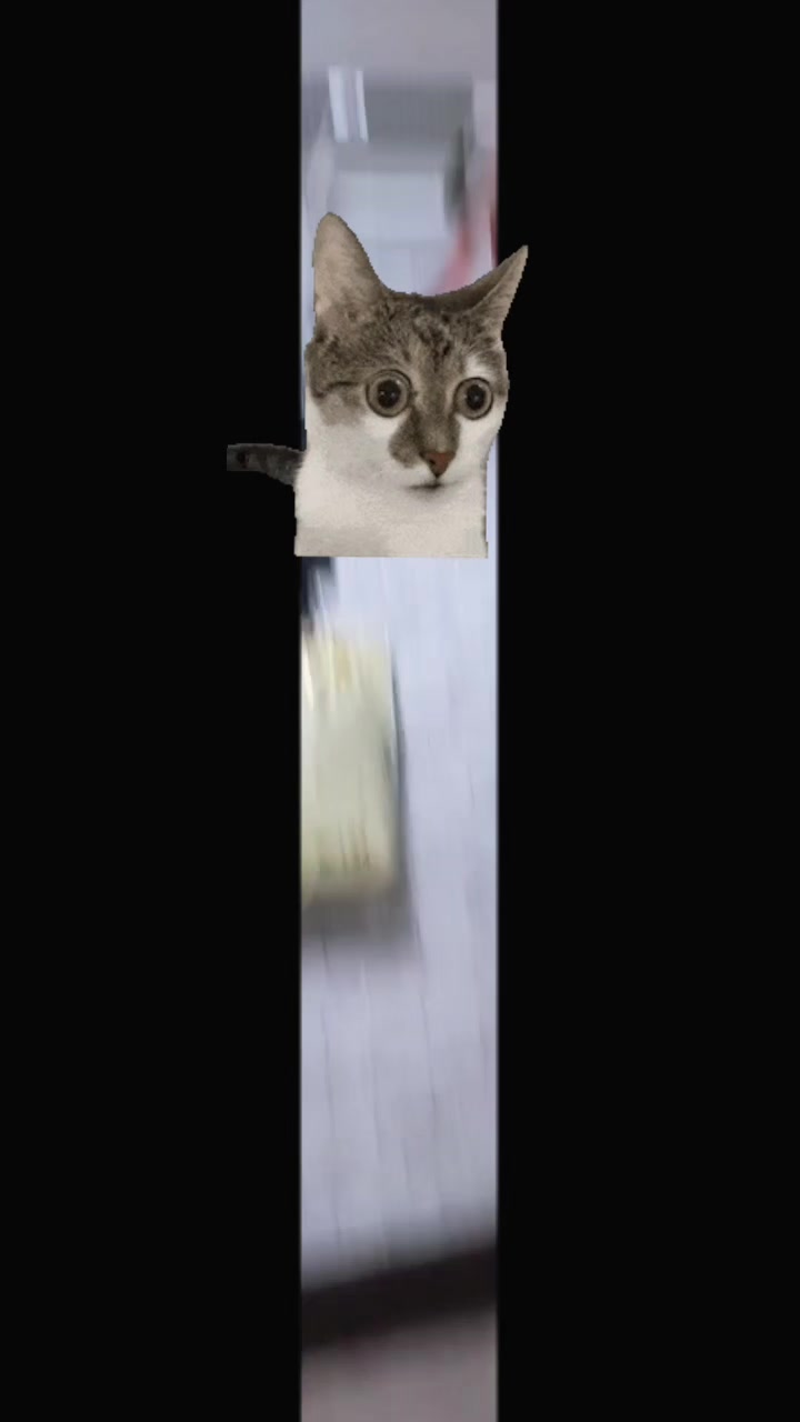 @мечикацу