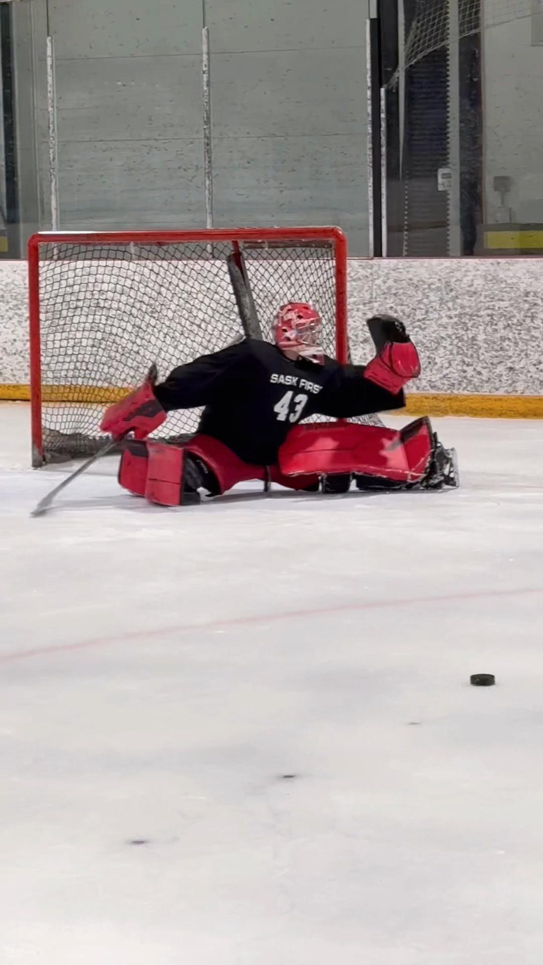 @The TikTok Goalie