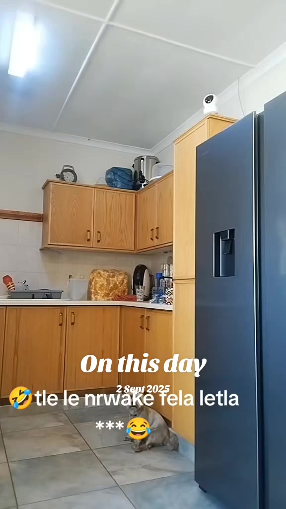 @mpolokeng