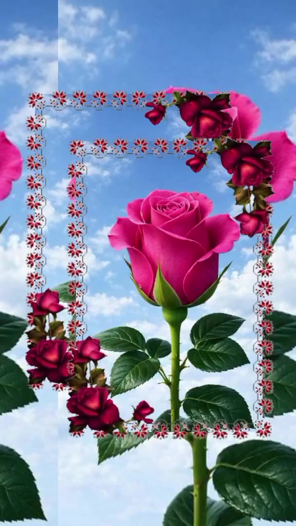 @MELY🌹❤️
