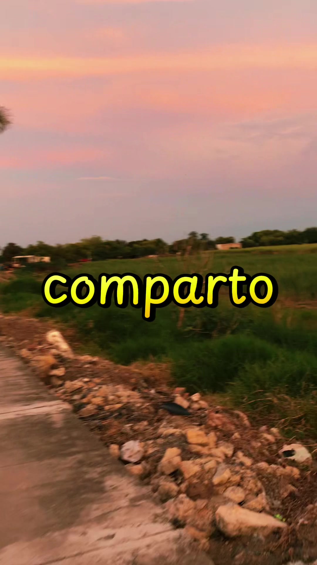@DANY ALEX