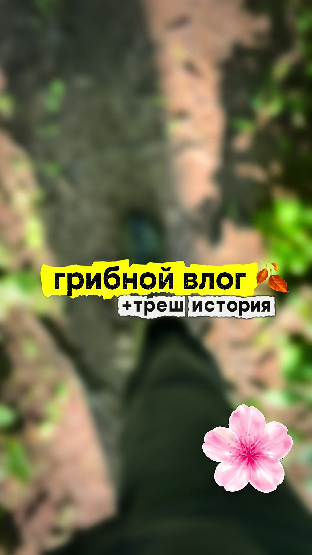 @egortg