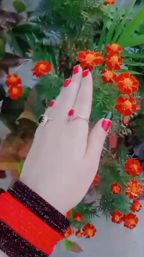 @ღℋ𝑜𝓃𝑒𝓎ツ