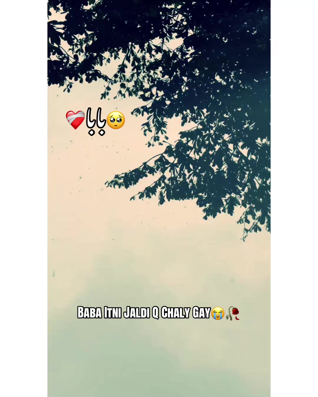 @⚜️𝐊𝐇𝐎𝐊𝐇𝐀𝐑❤️🩹