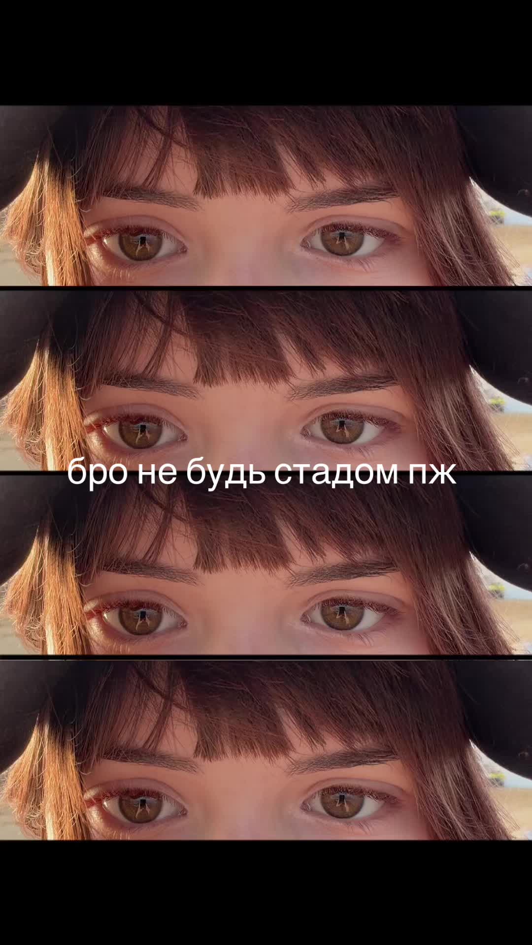@соня шкет
