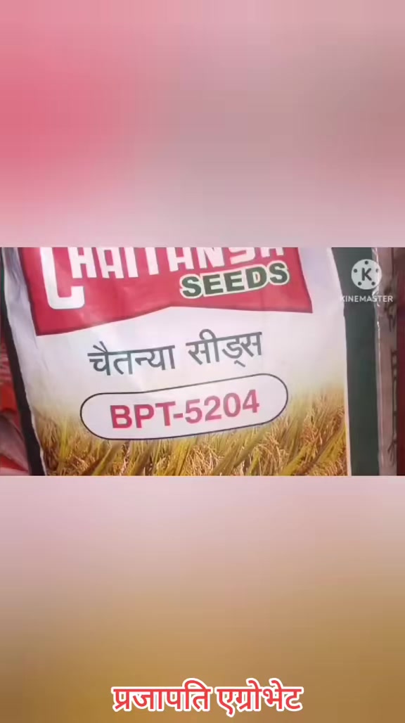 @Prajapati Agro Vet