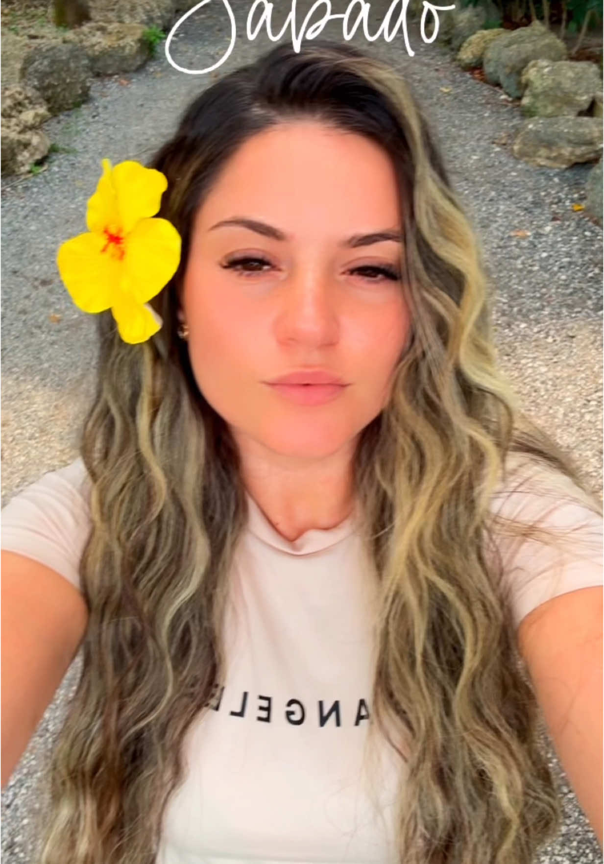 @evelyntollmadaria