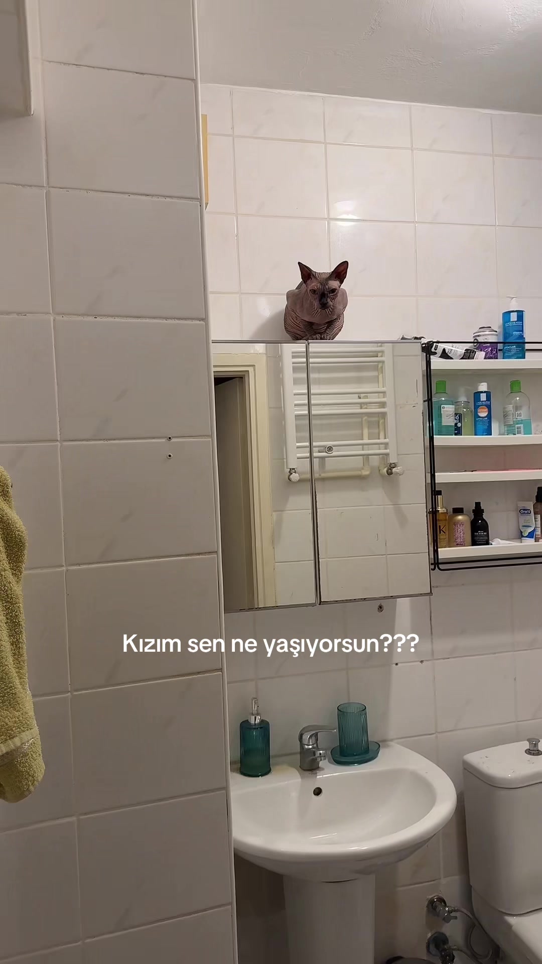 @Larin