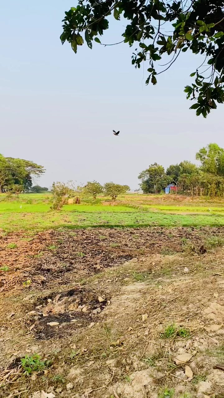 @Sanjit