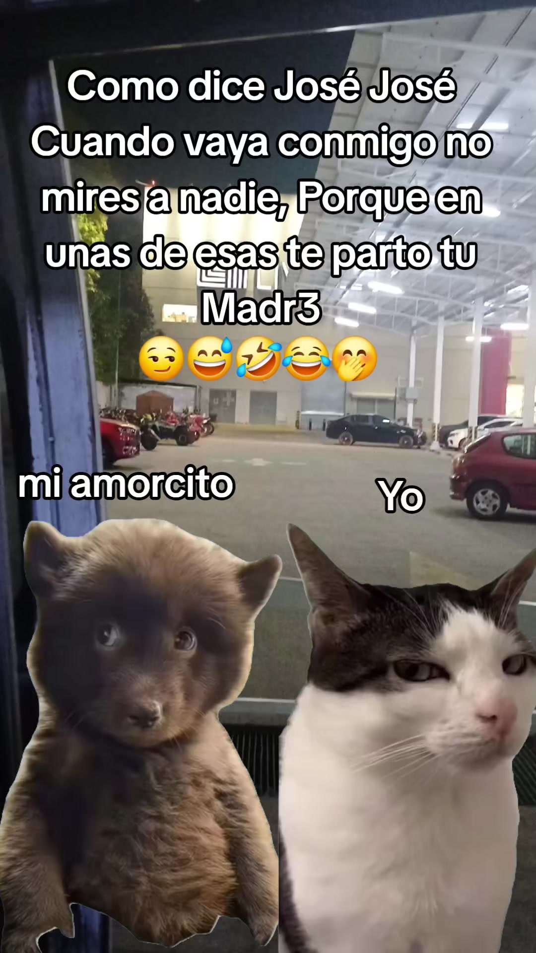 @🌹la Güera🕊🫀⚘️