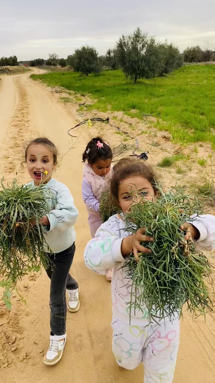 @✨AsmA||خرداني✨