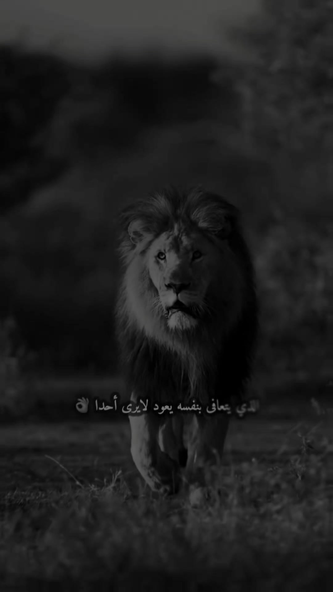 @M_a_x_2_m_a_x