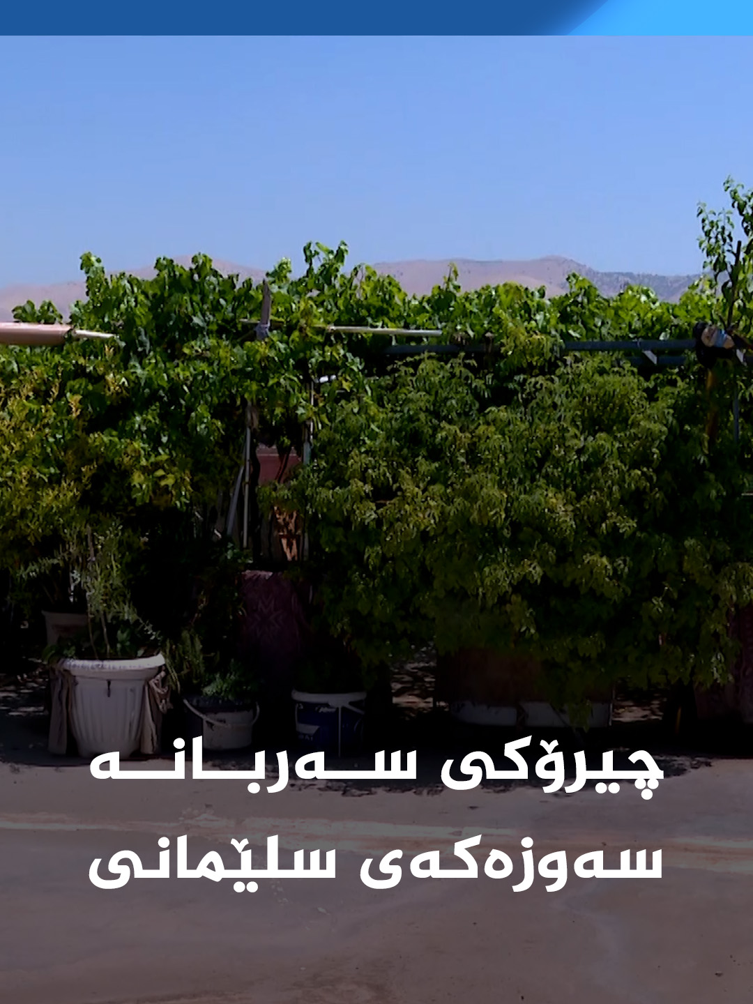 @kurdsat - کوردسات