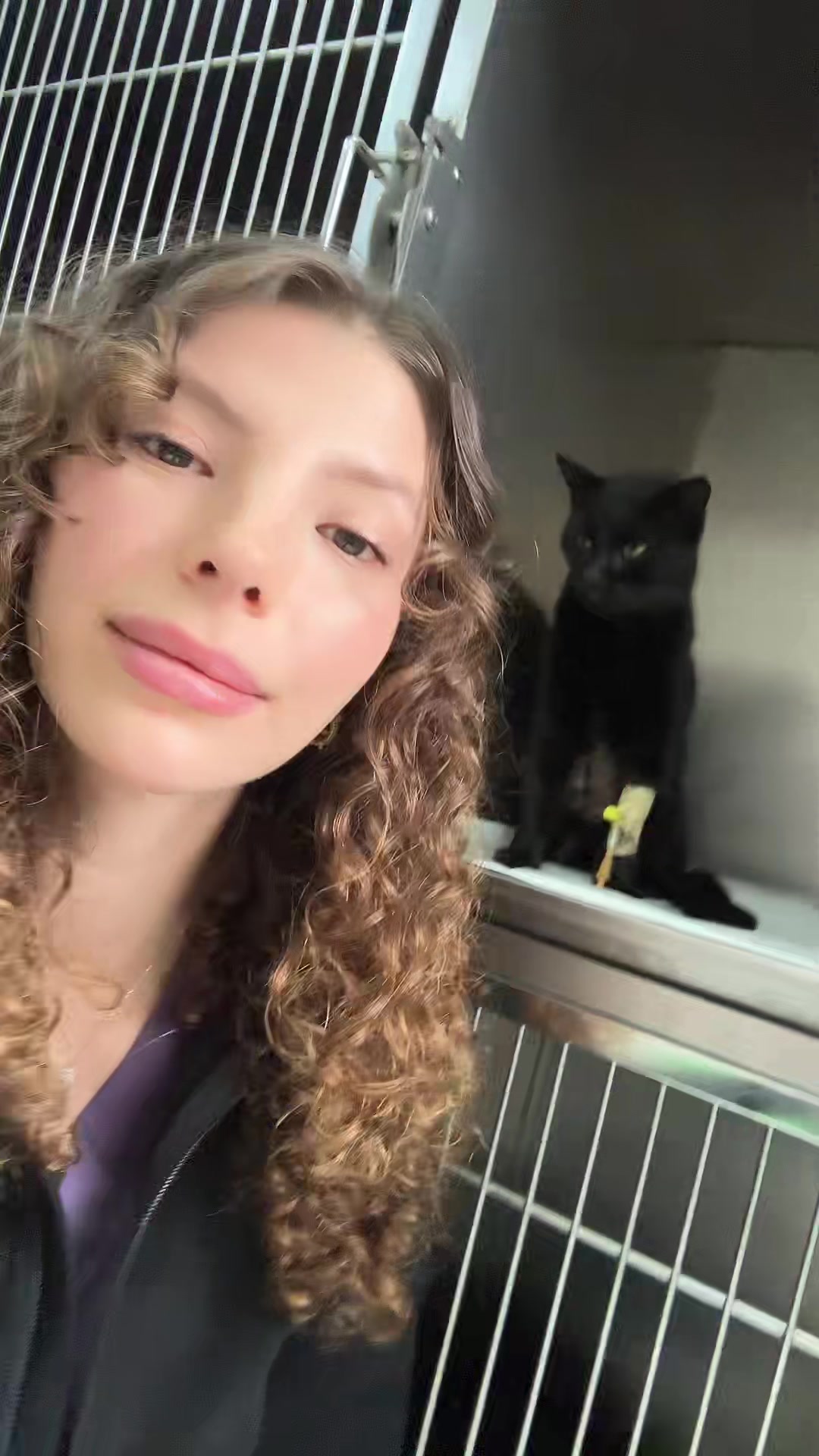 @vetbasakhealss