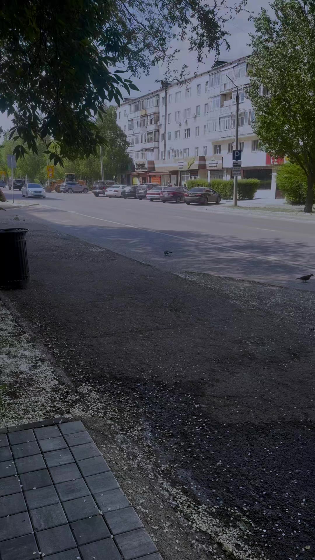 @XəyaL HəşimoV