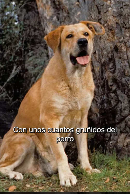 @vvv123456