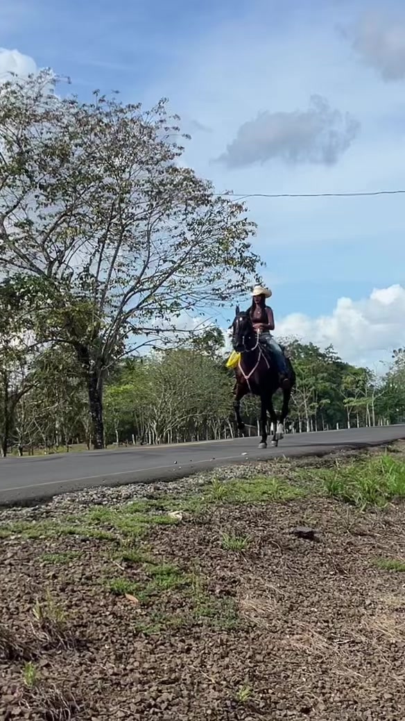 @𝑃𝑎𝑜𝑙𝑎 𝒮🌸