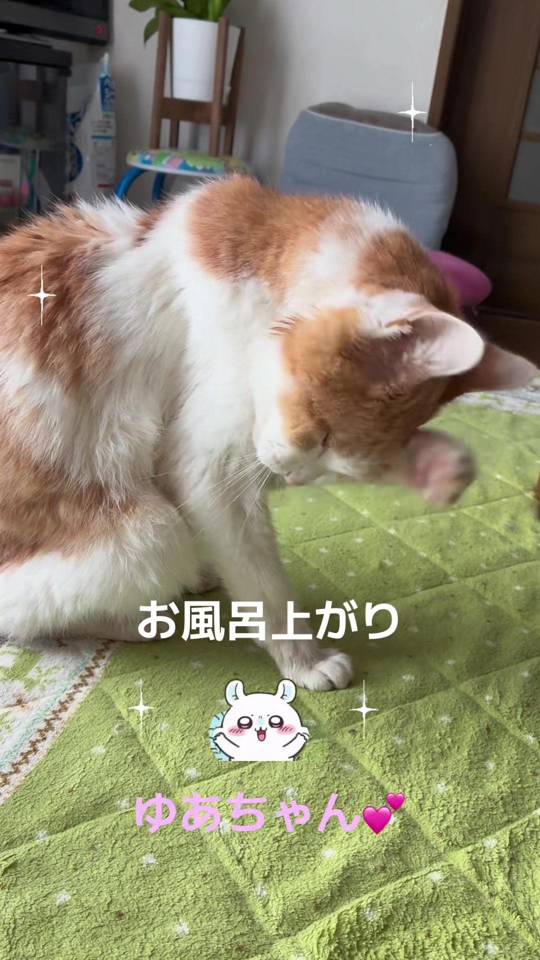 @ゆあ