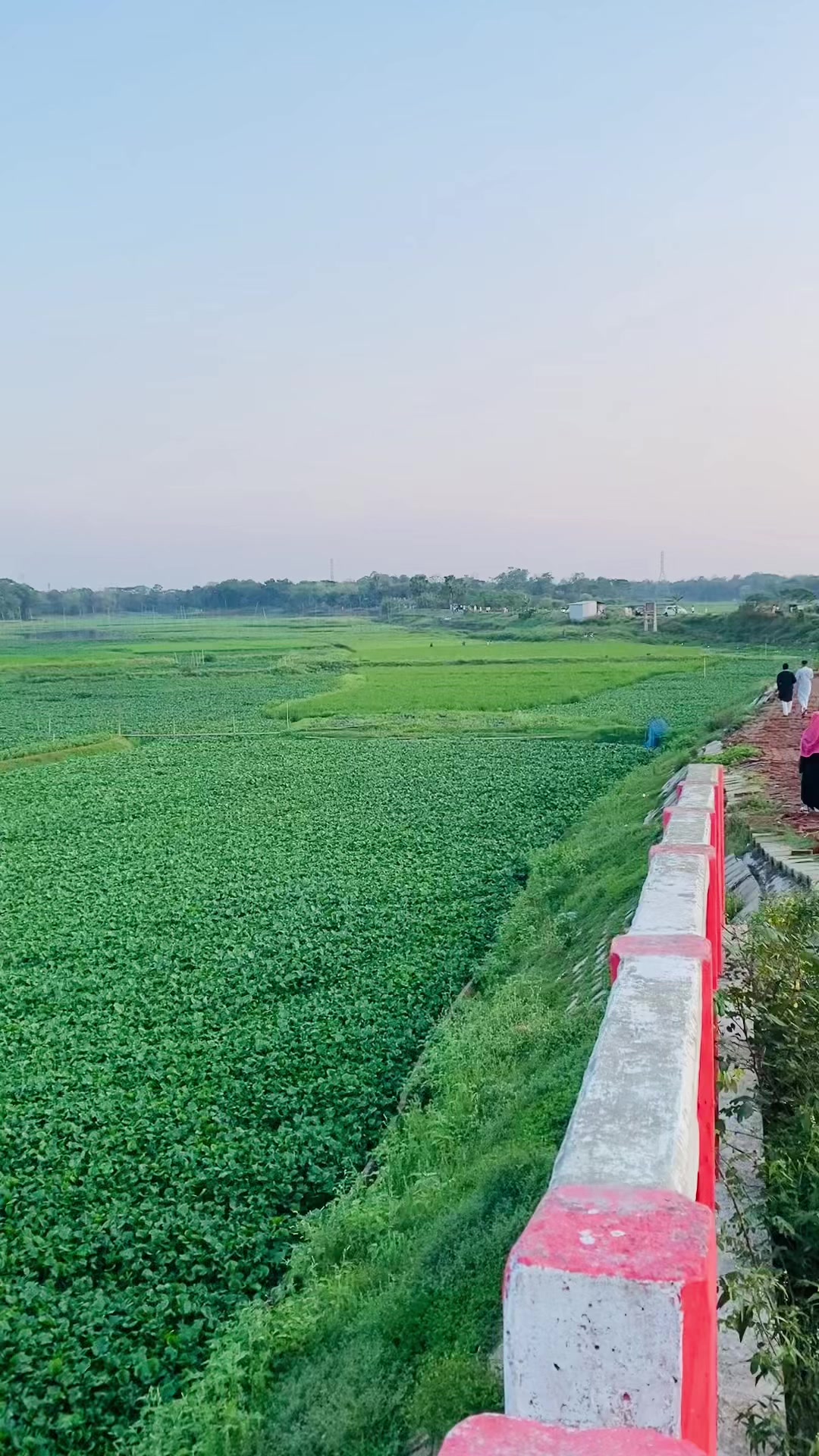 @Sanjit