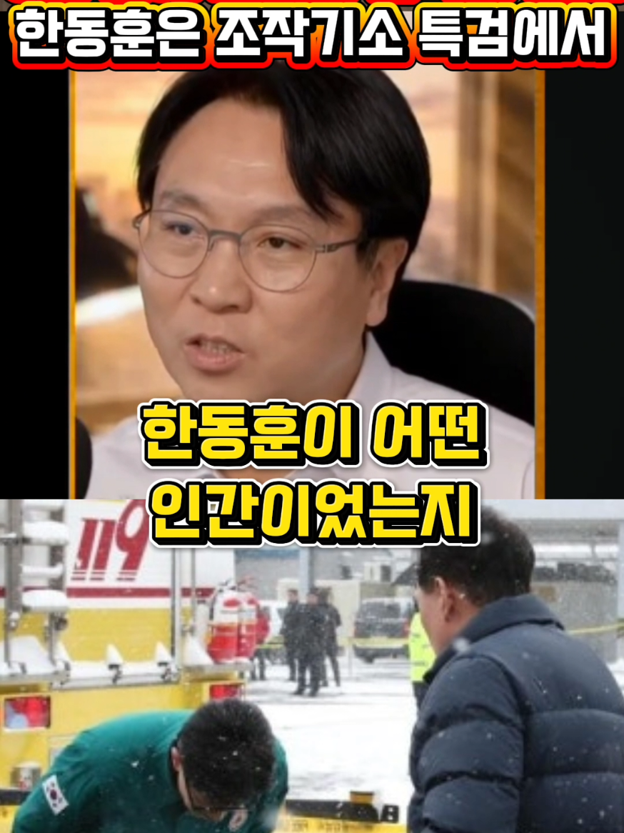@정치냥인
