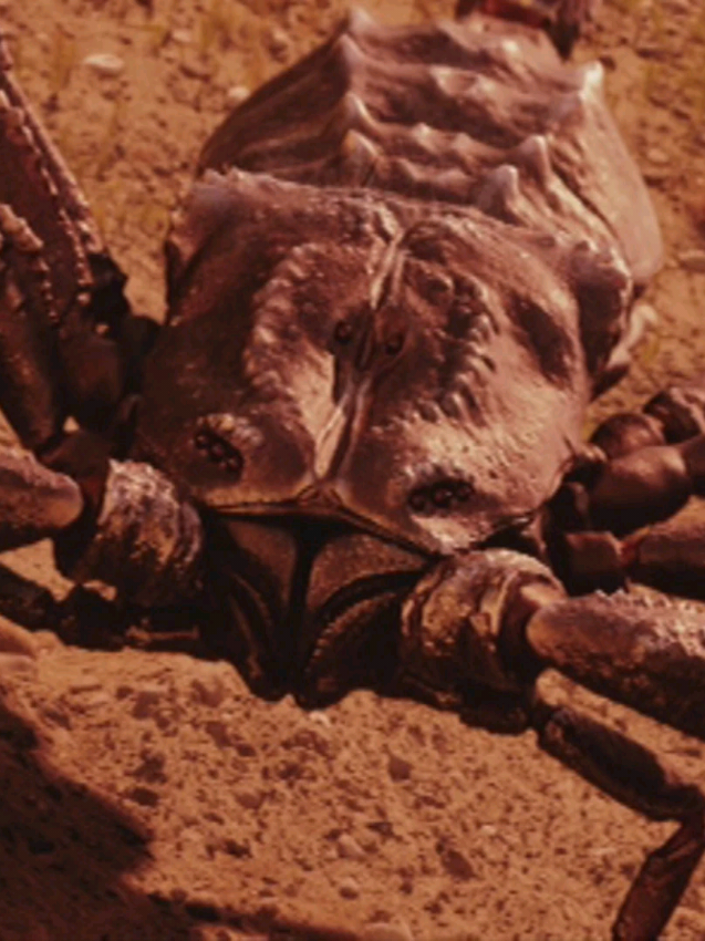 @Indoraptor
