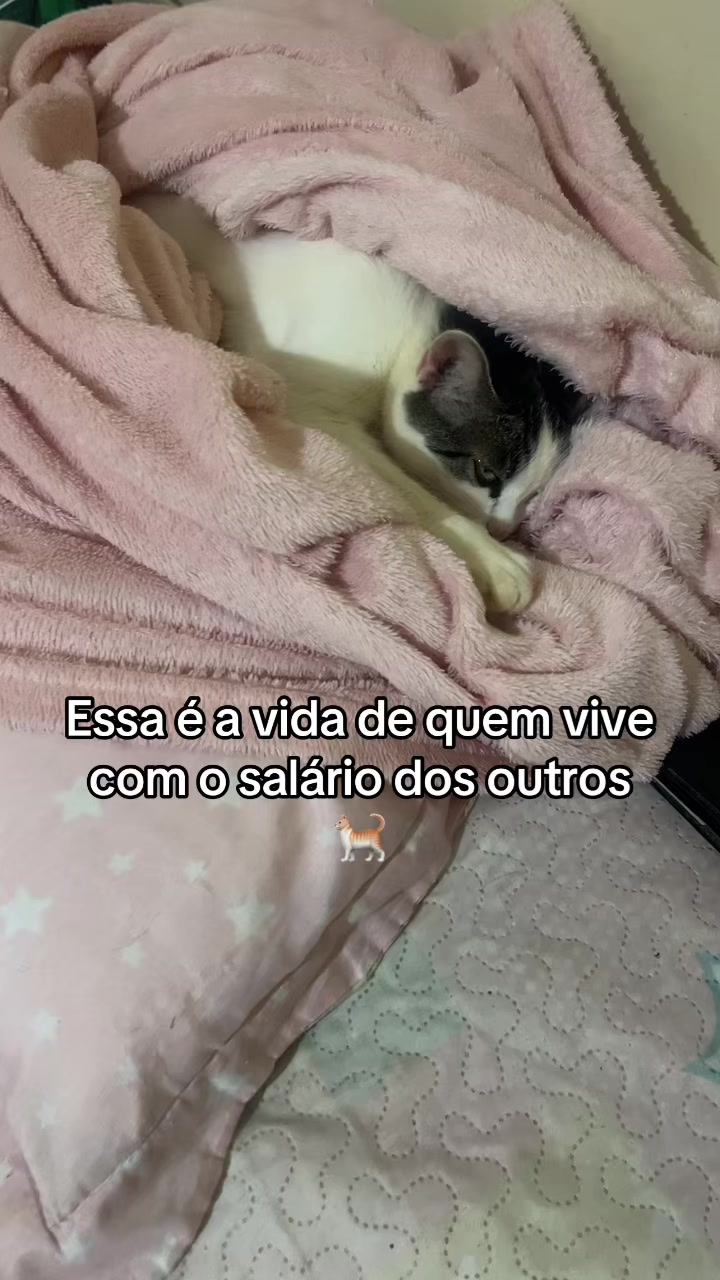 @Mariana Lemos