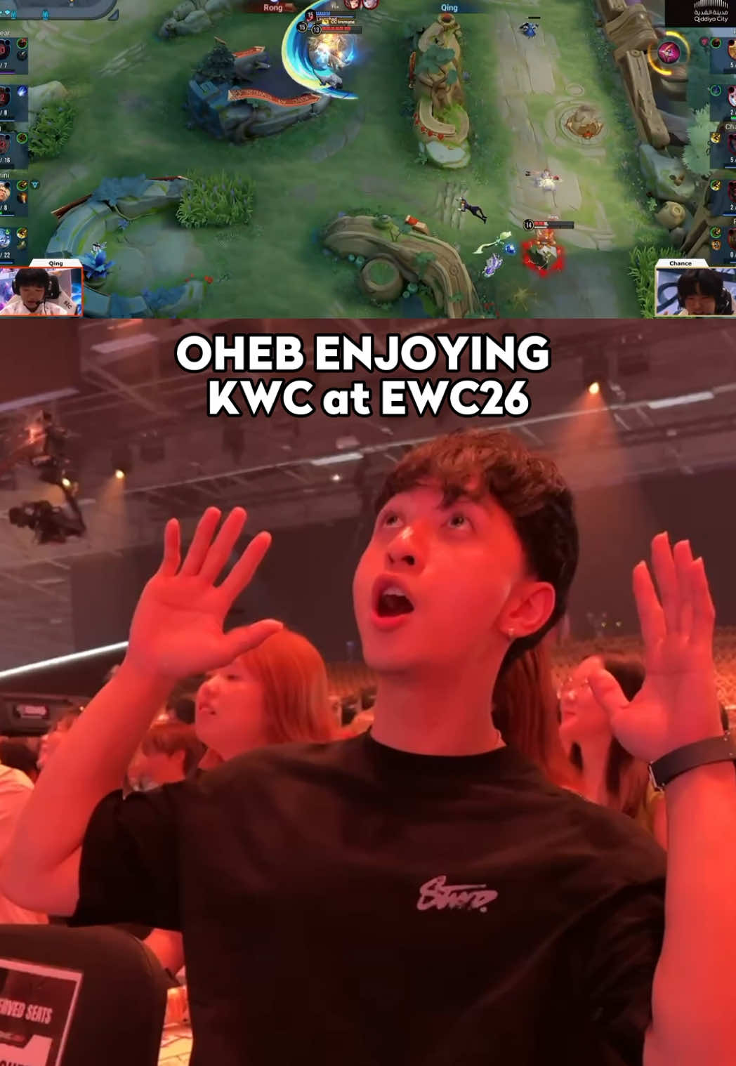 @HoK Esports