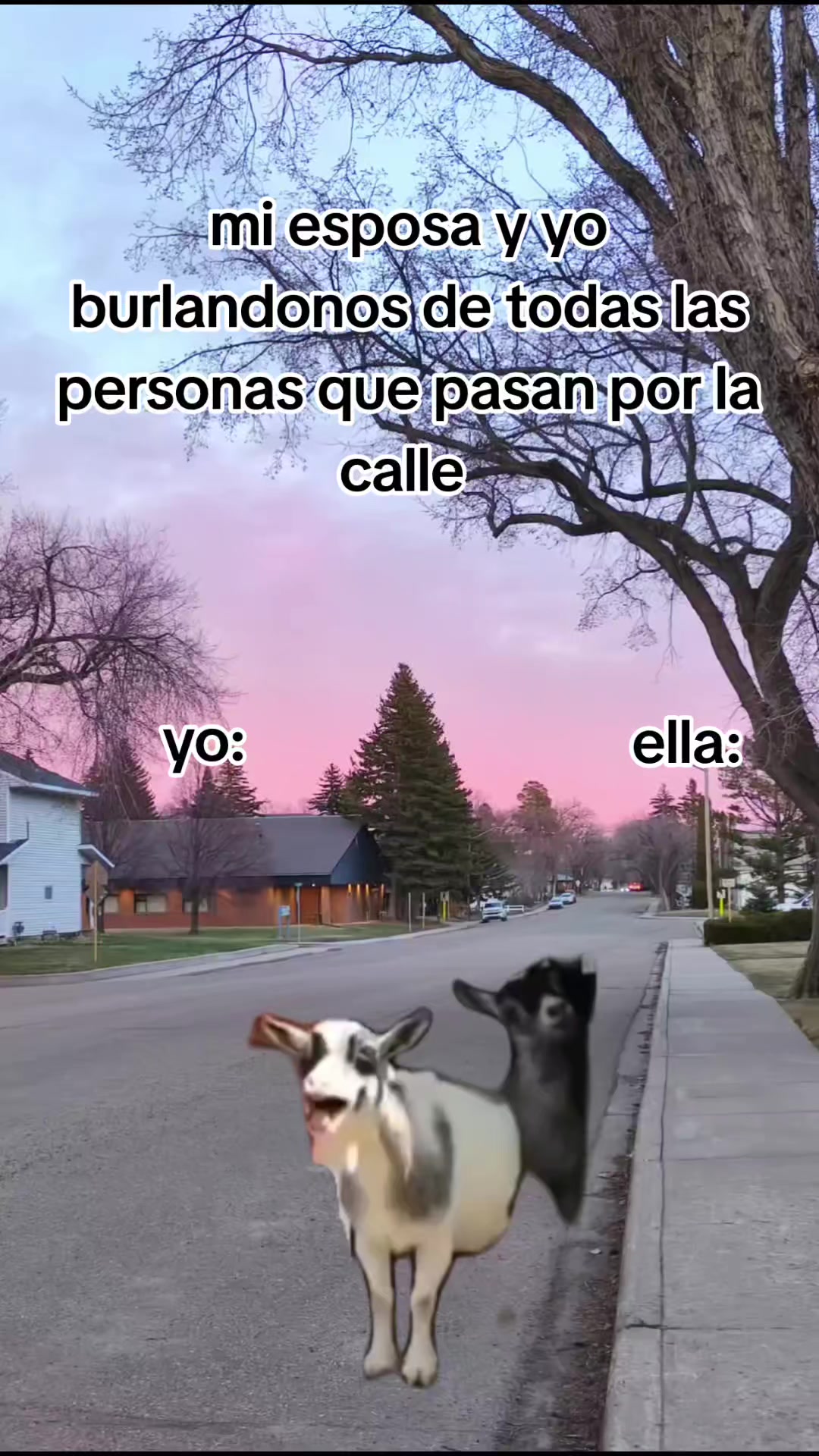@incaparina_no.1