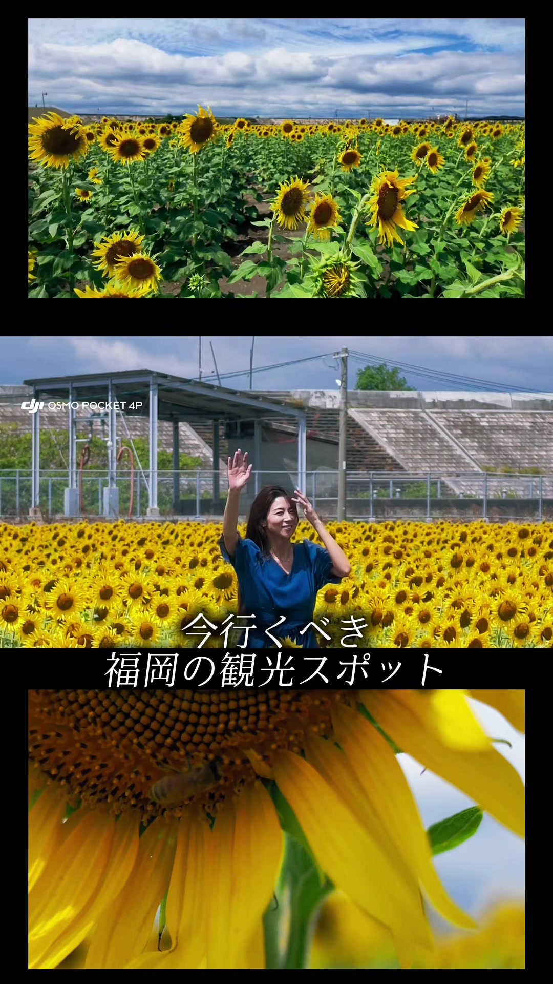 @あそびわーるど / AsobiWorld