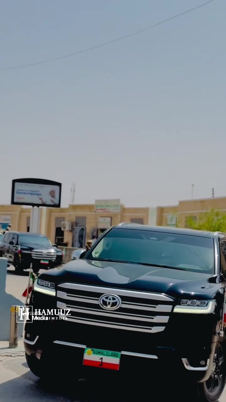 @Hamuuz🎥