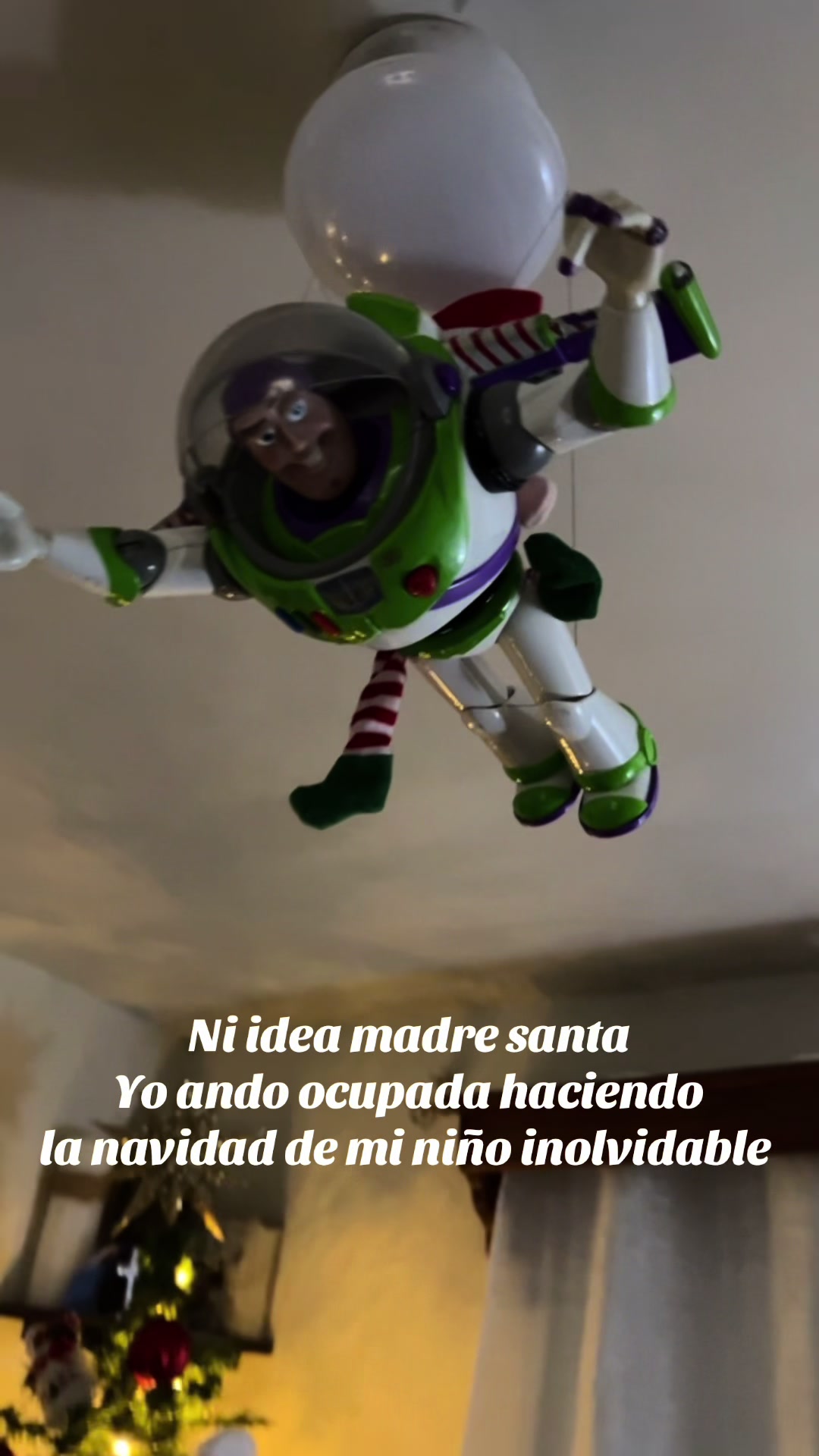 @Brenda Cardozo