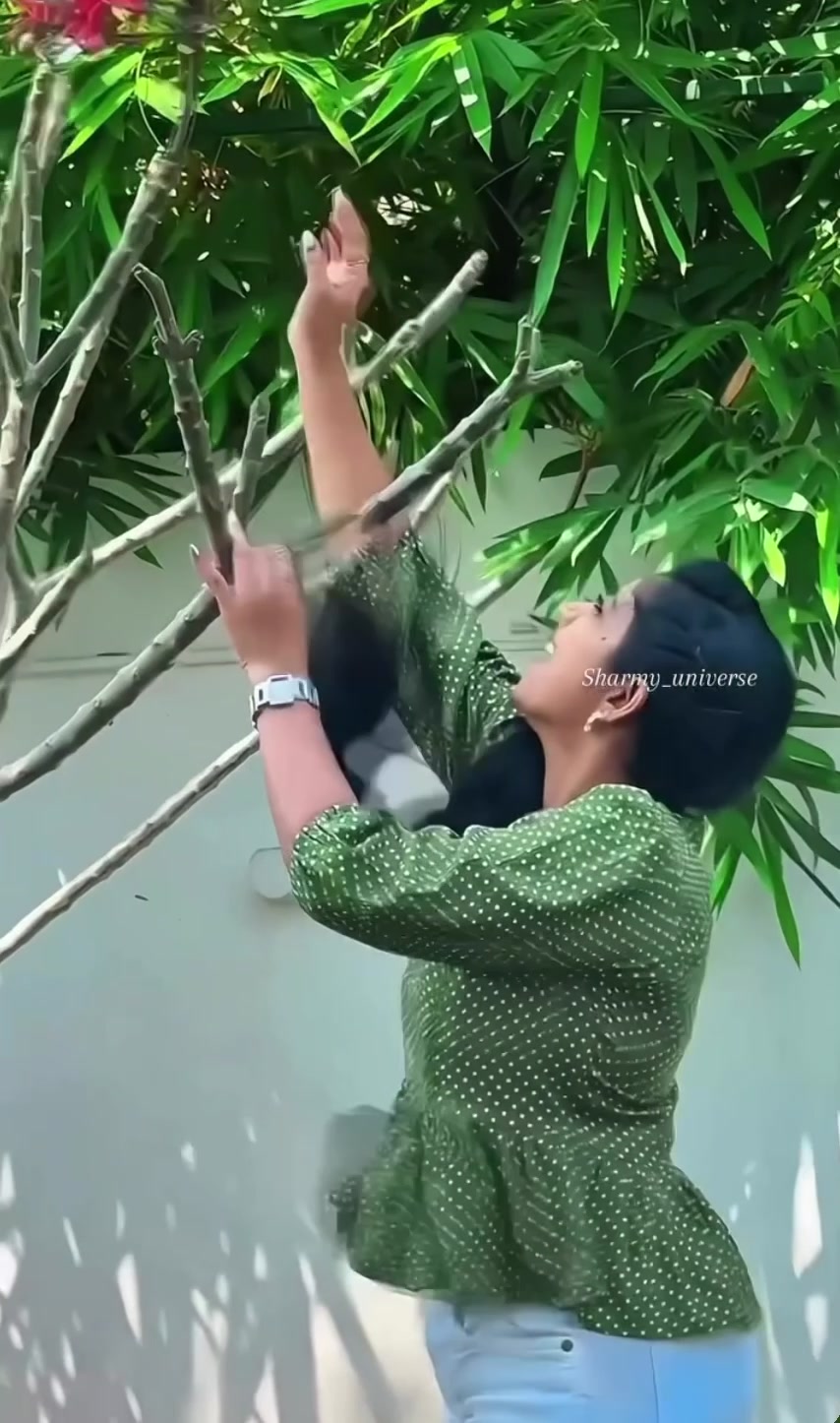 @தர்சினி