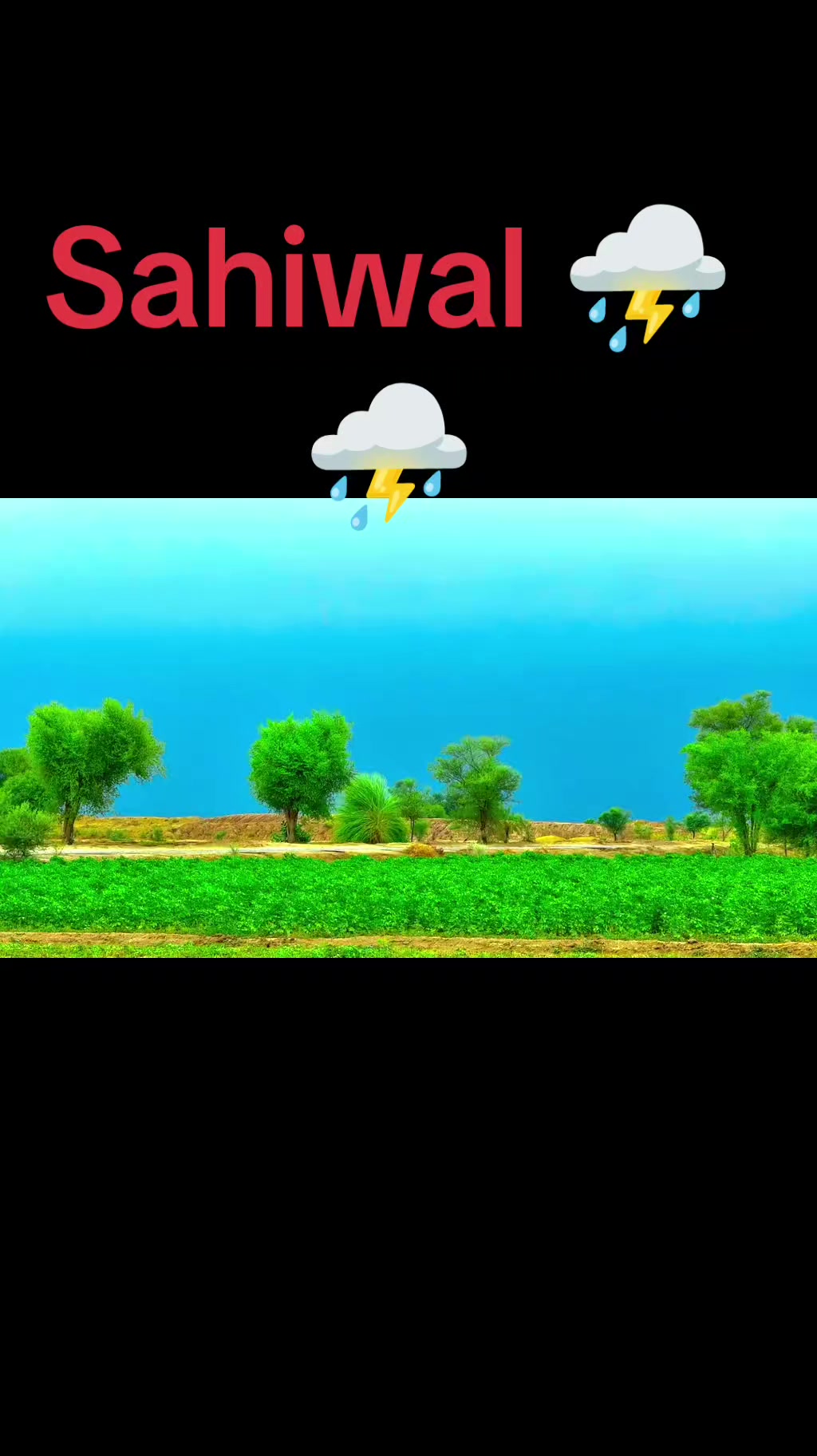@بلال بھٹی ساہیوال والا804👑