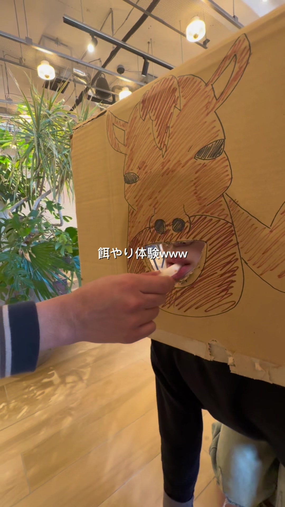 @SEVENIC