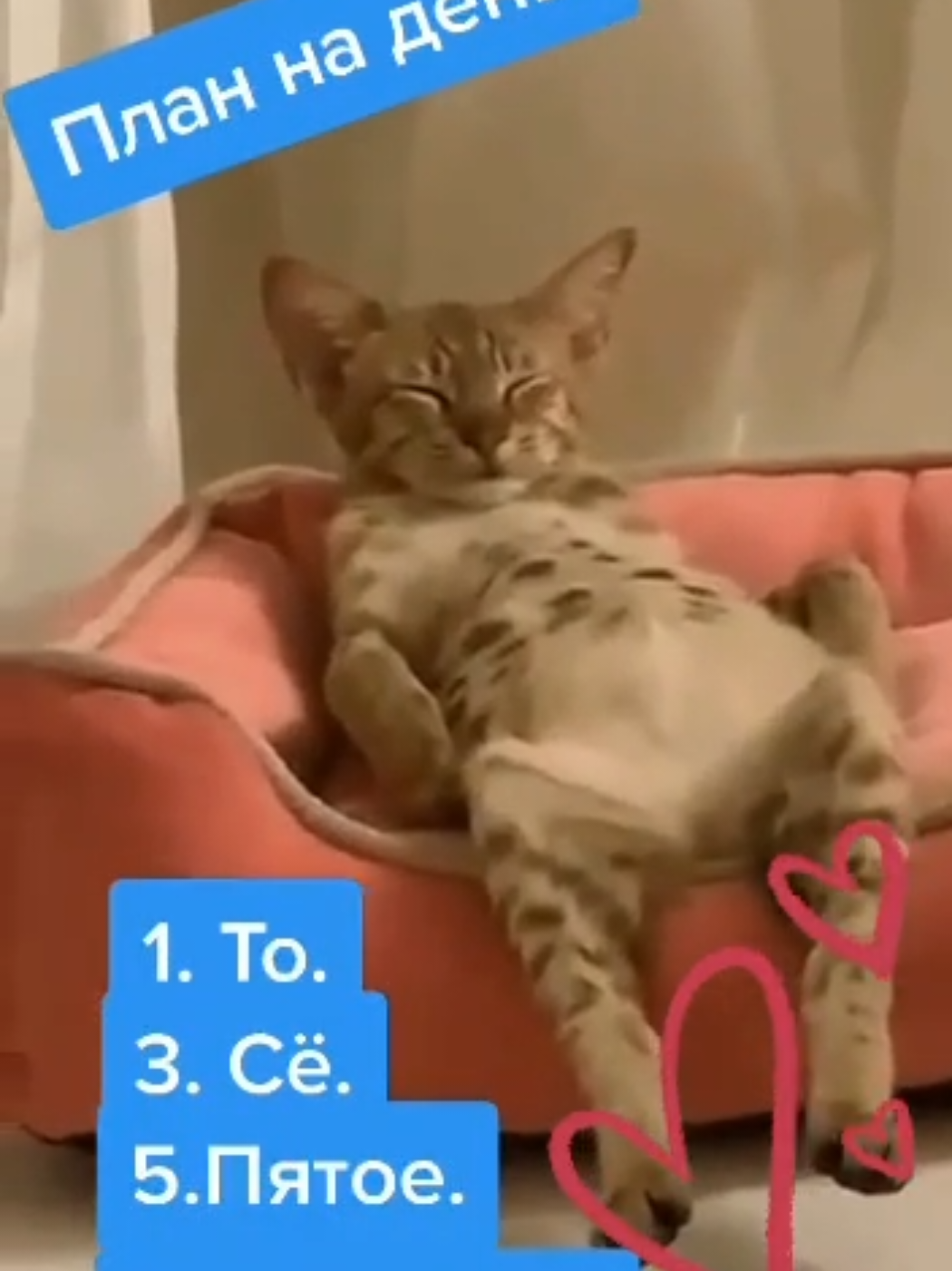 @Любовь Ускова