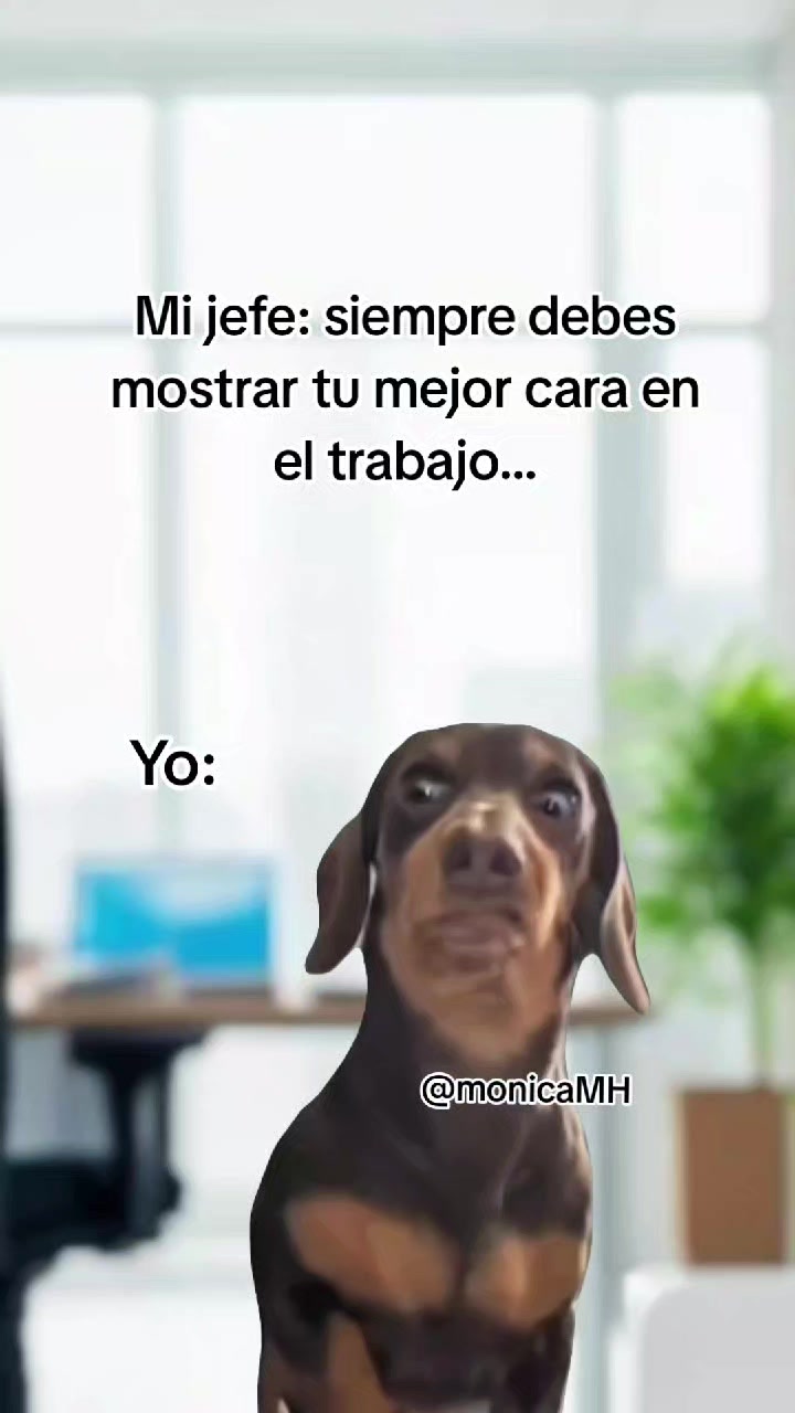 @Mónica MH