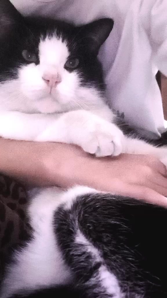 @Мукабай 🐈
