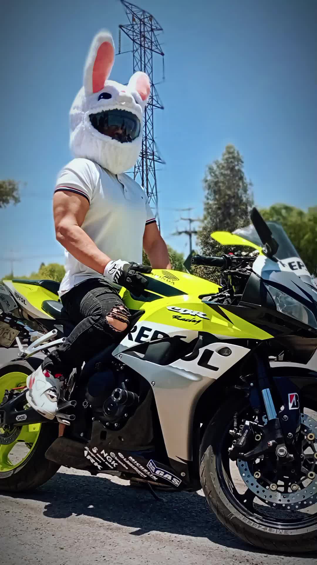 @BunnyRoad600