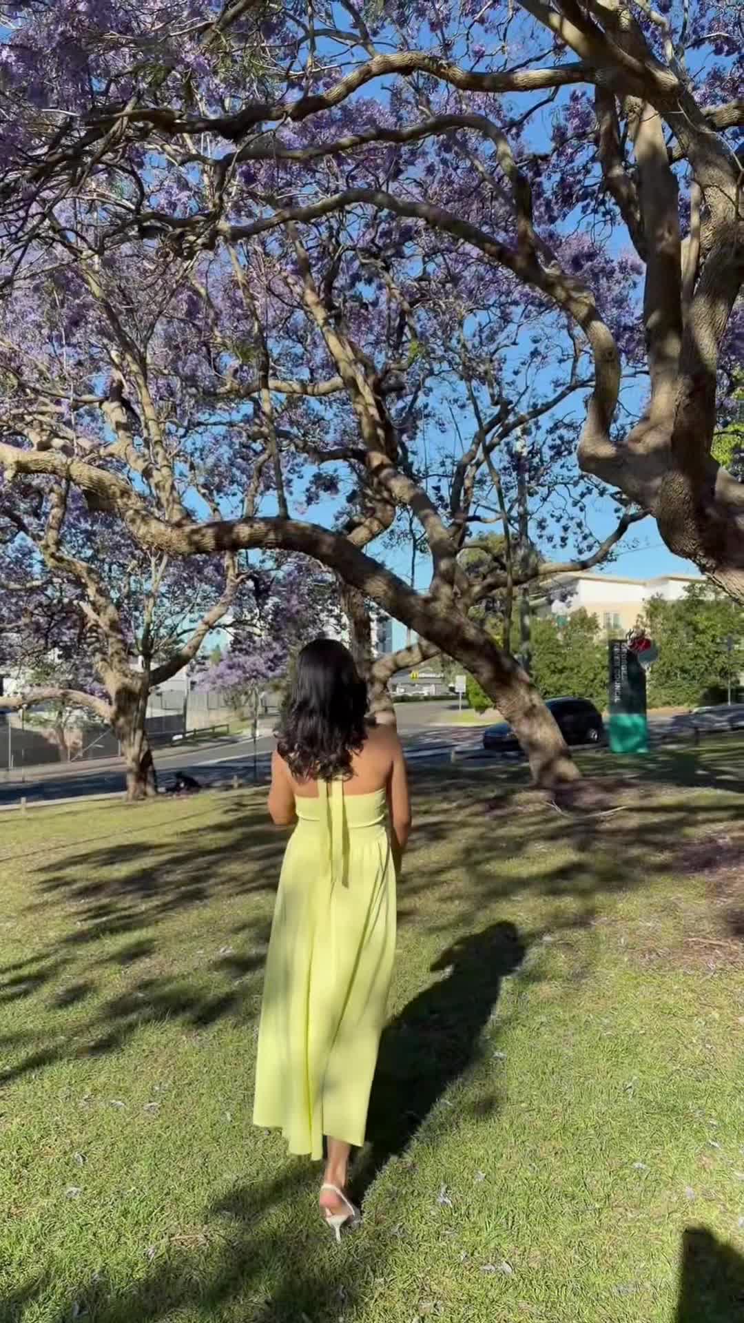 @bijita rayamajhi