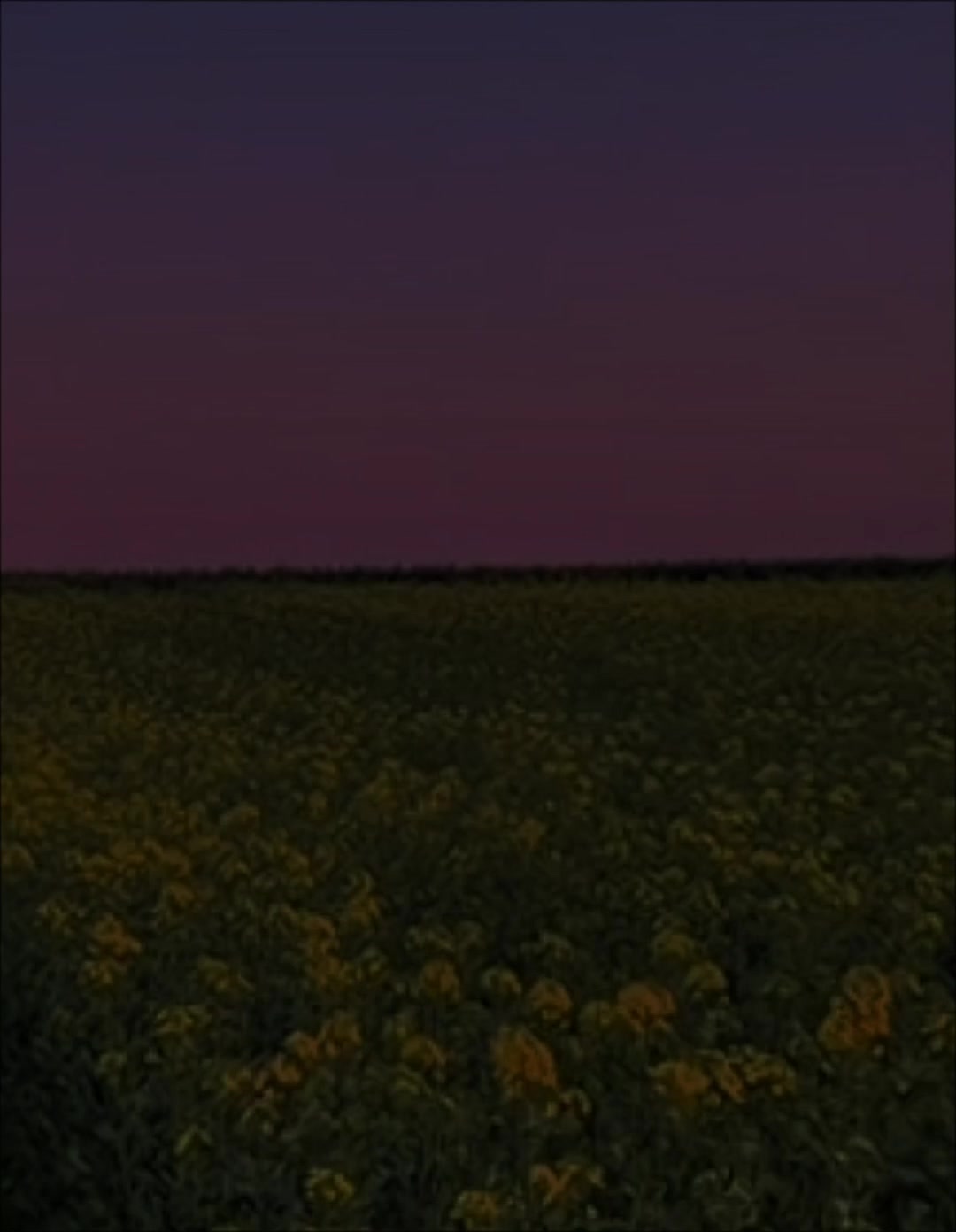 @𝘾𝙝𝙚𝙩𝘿𝙪𝙤𝙞𝙉𝙝𝙖𝙘💐