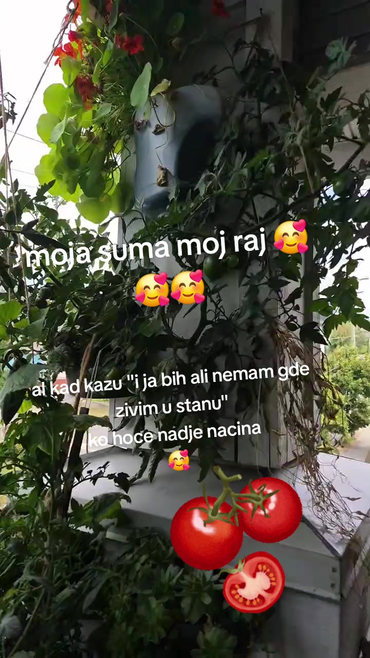 @Bixi*